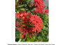 write botany or plant science content